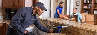 Best Residential Pest Control  in Blue Mound, TX